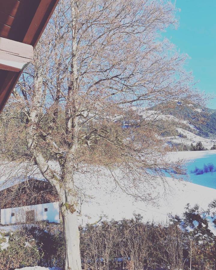 Hof Oberhaus Vila Kitzbühel Exterior foto